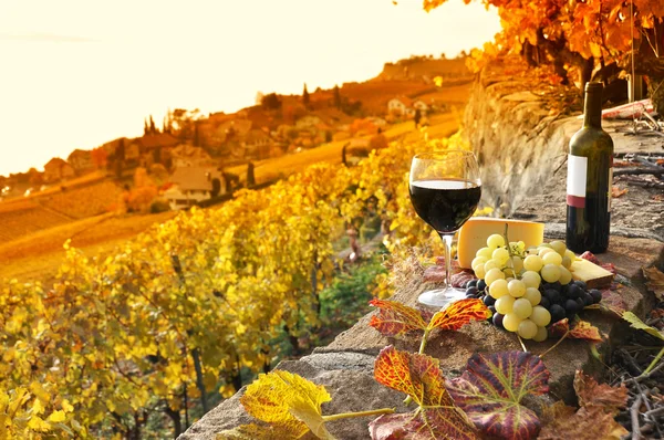 Explorando la Ruta del Vino en México